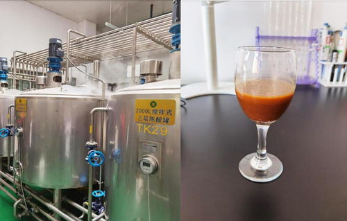 宁夏红枣高值化健康产品加工关键技术研究与示范项目通过验收——赋能电气设备制造新发展